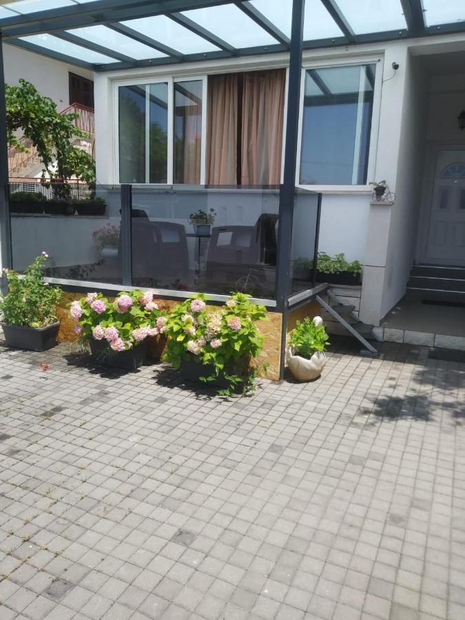 Centar - Mirjana *