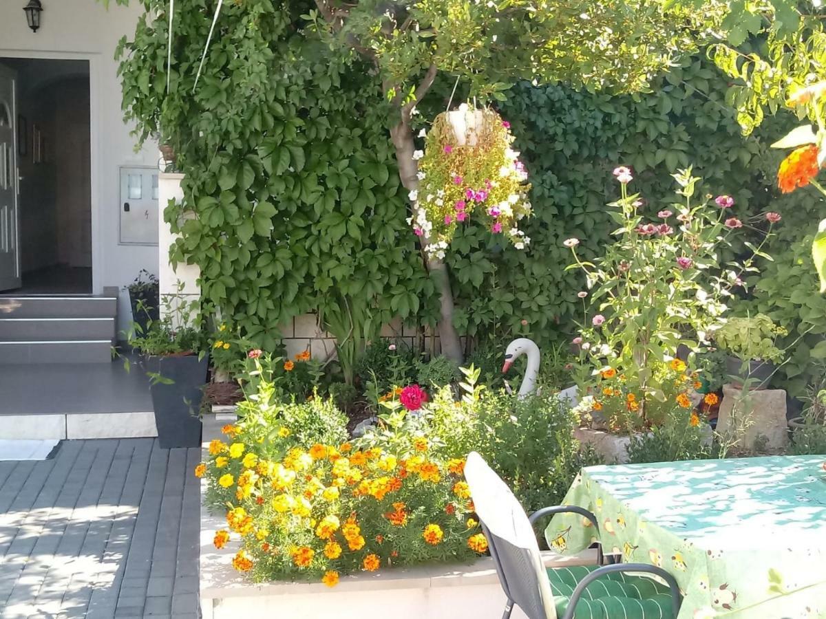 Apartment Centar - Mirjana Makarska